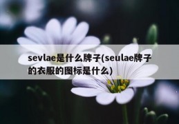 sevlae是什么牌子(seulae牌子的衣服的图标是什么)