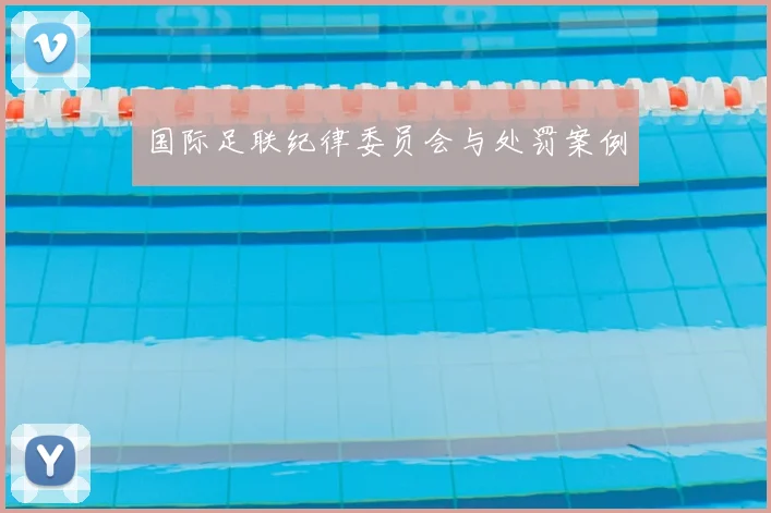 国际足联纪律委员会与处罚案例