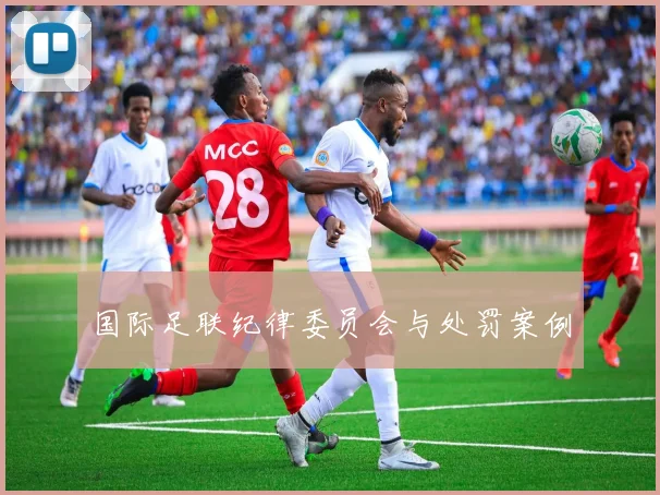 国际足联纪律委员会与处罚案例